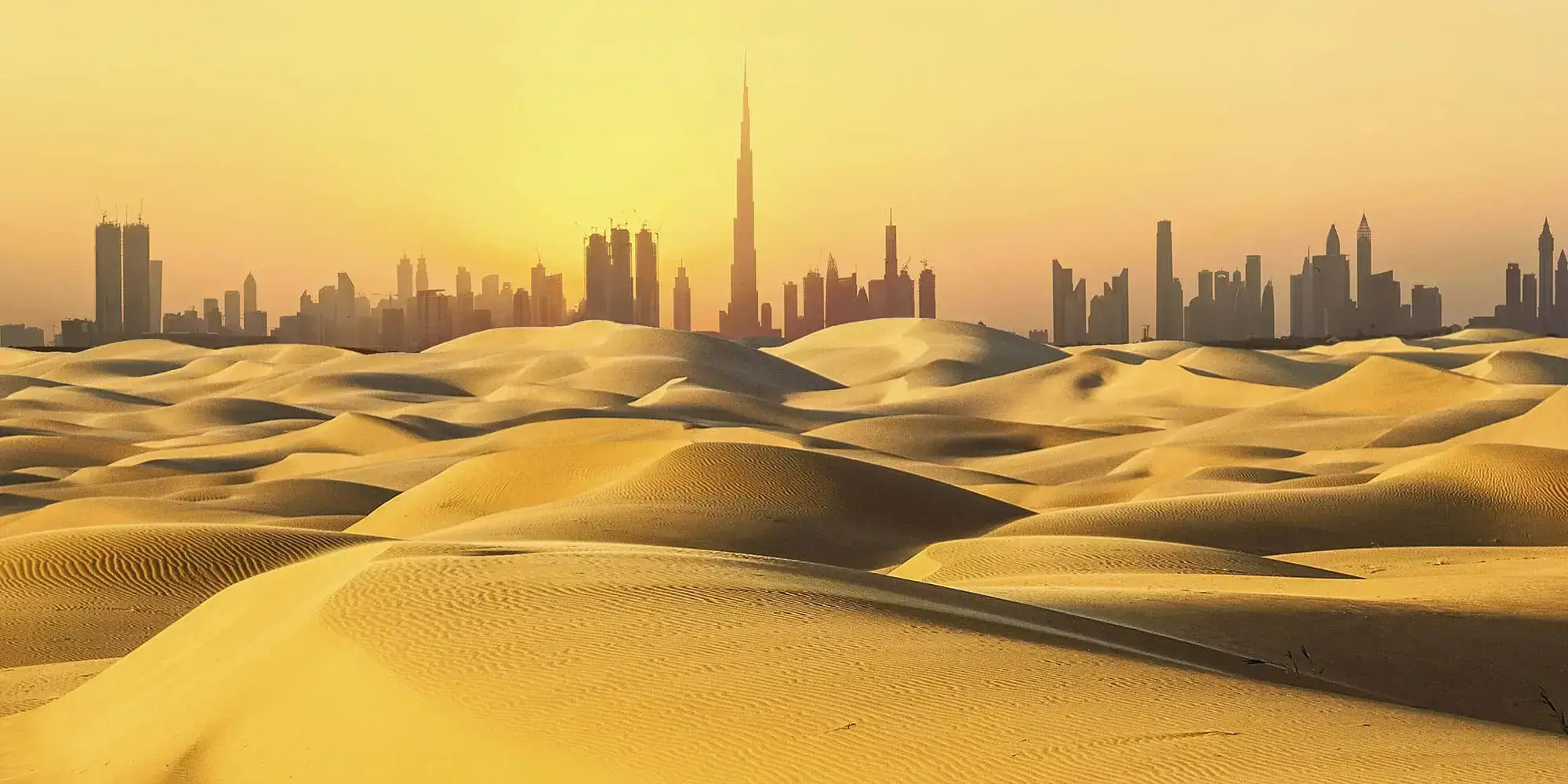 gulf export Agent